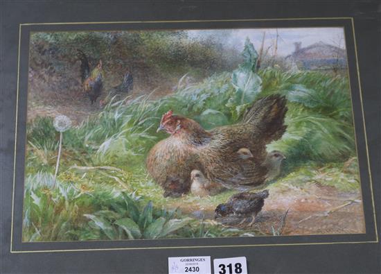 George Hickin (fl.1858-1877) Chickens in a field 23 x 33cm